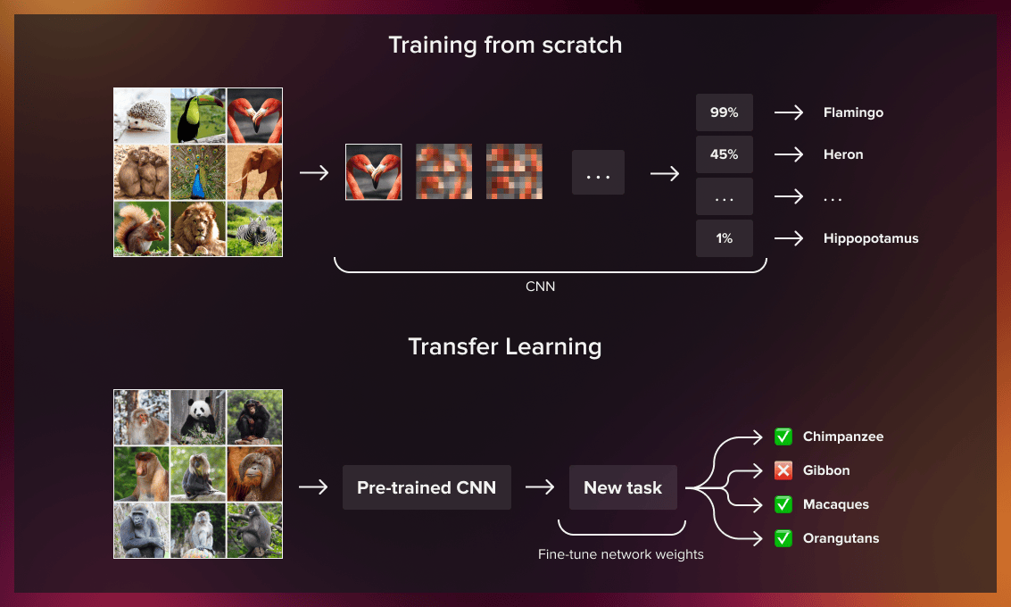 What is transfer_learning