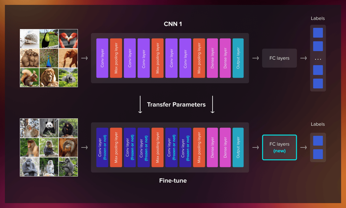 Fine-tuning in transfer learning