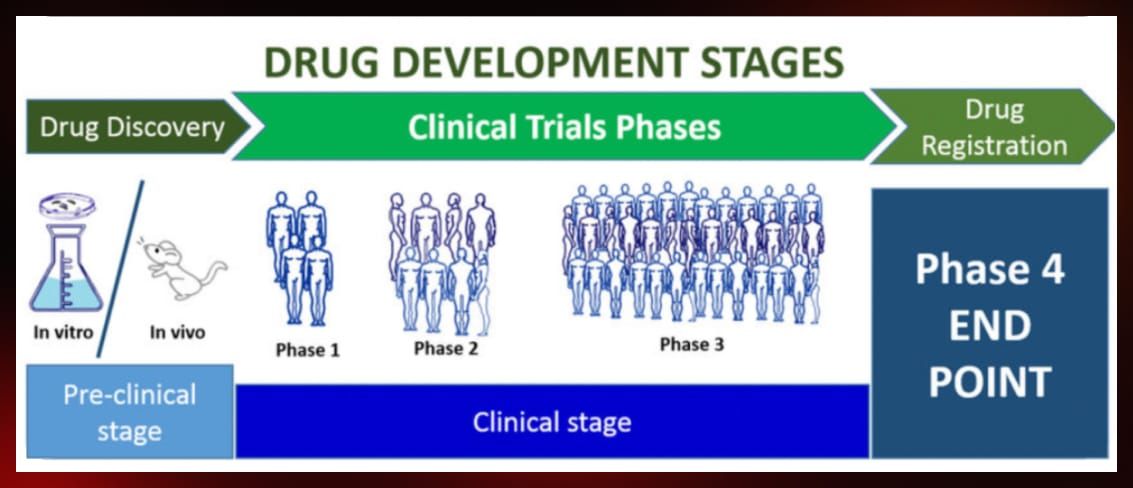 Drug development stages