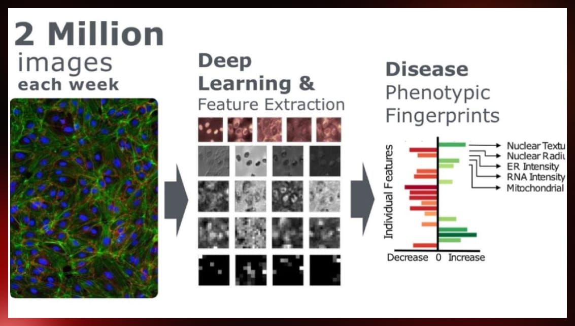 Desease phenotypic fingerprints