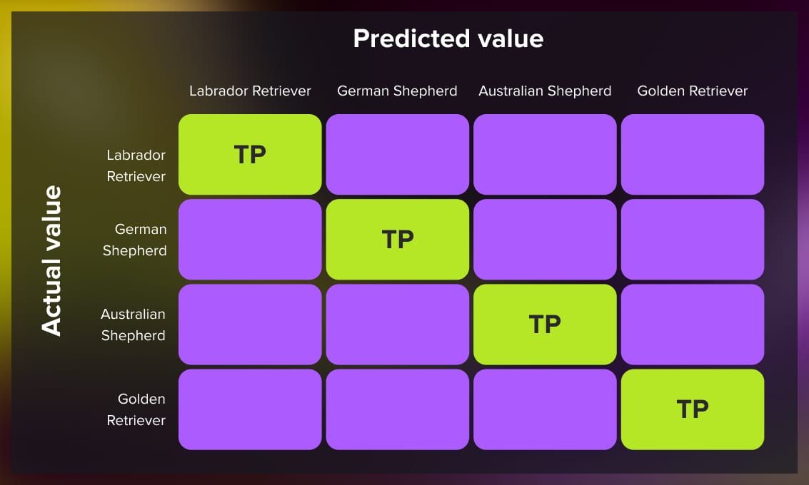 Classification model