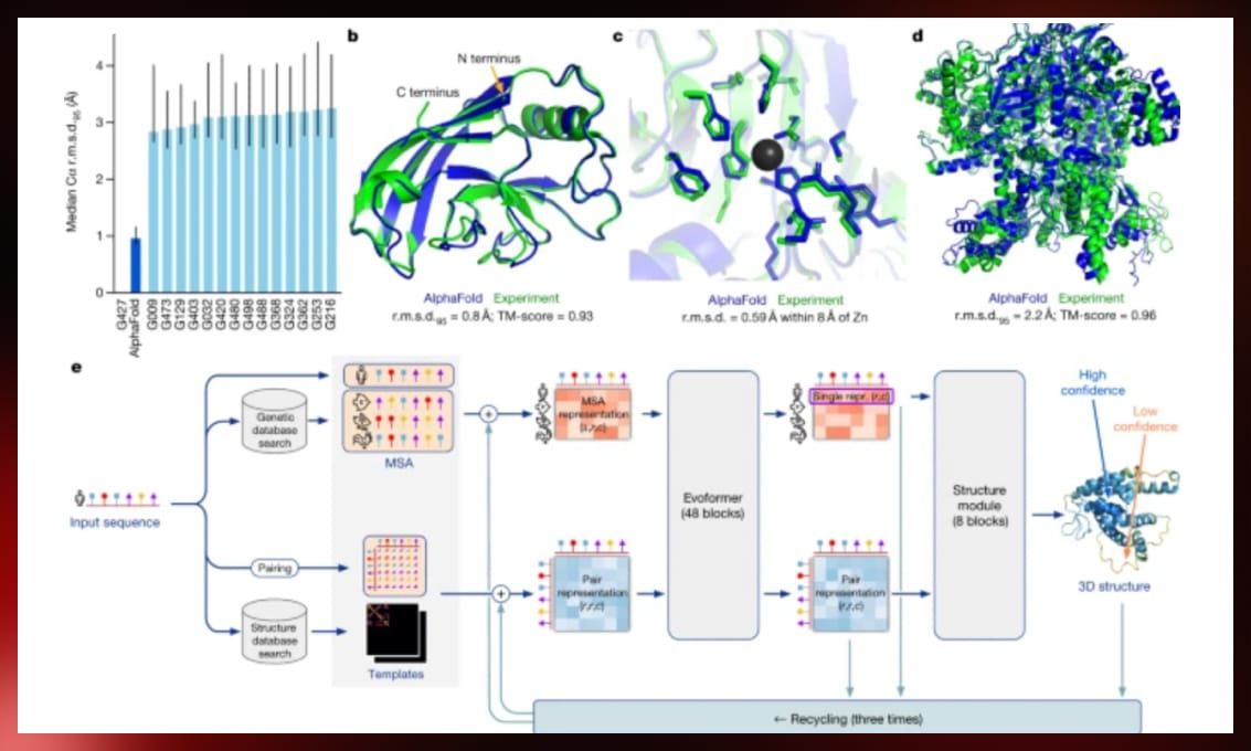 Alpha Fold