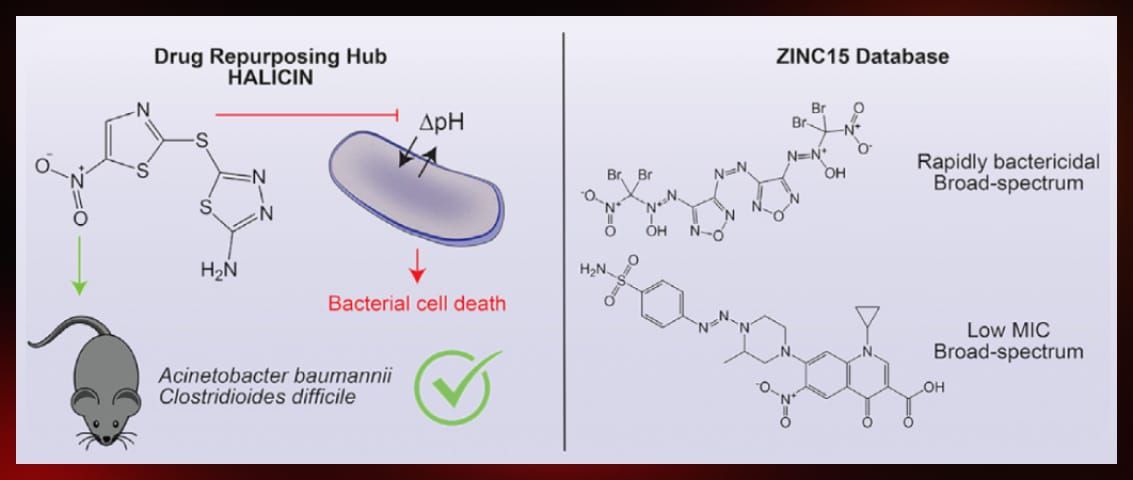 Halicin repurposing