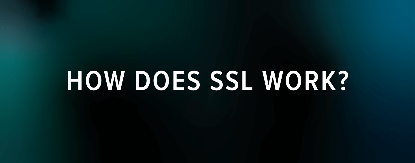 How do SSL algorithms work?