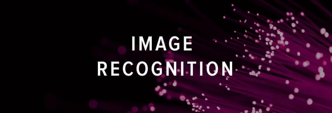 image recognition