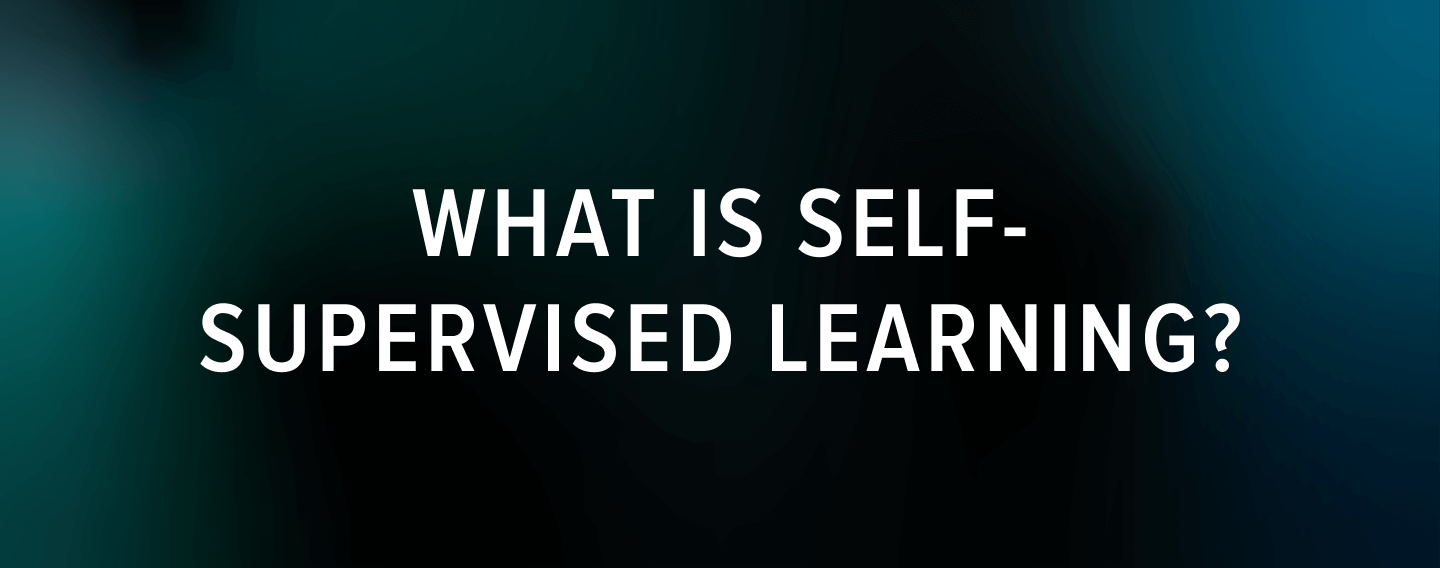 What Is Self-Supervised Learning?