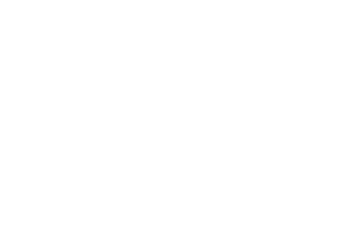 Cardano SL project: results