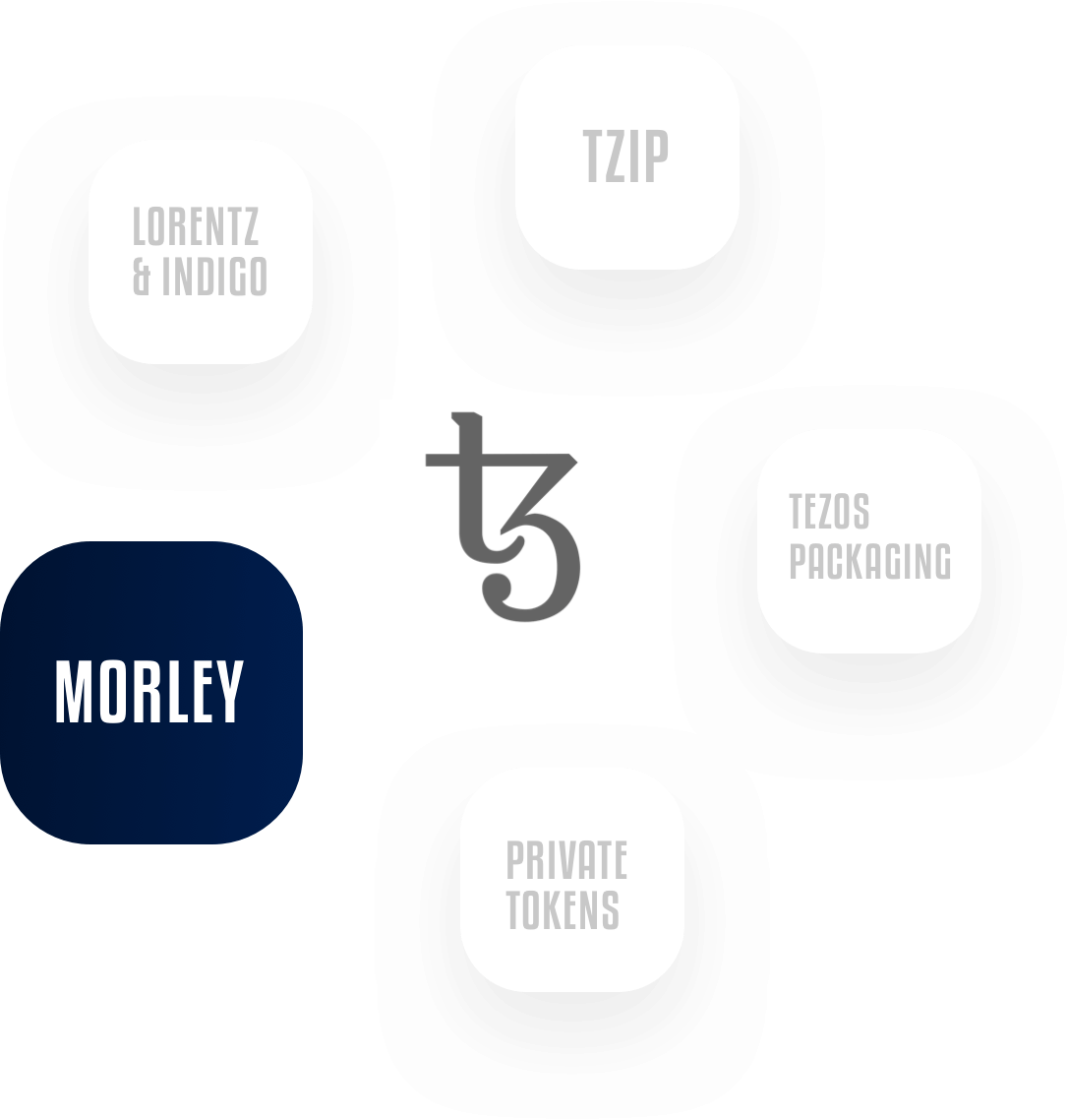 Serokell cases: Morley